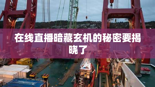 在线直播暗藏玄机的秘密要揭晓了