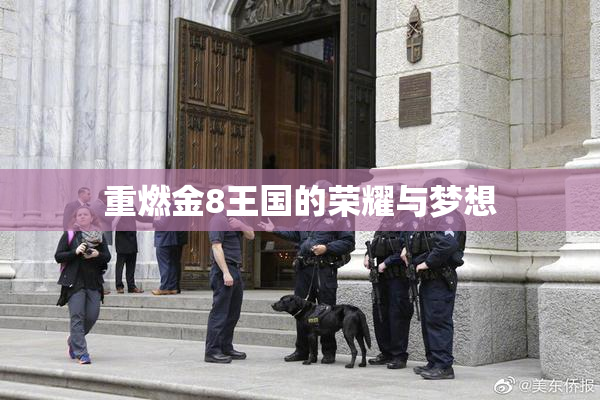 重燃金8王国的荣耀与梦想