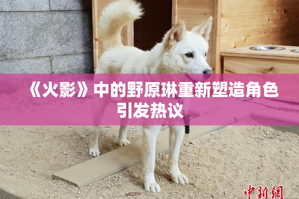 《火影》中的野原琳重新塑造角色引发热议