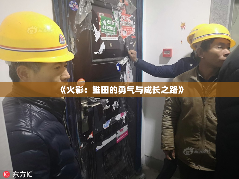 《火影：雏田的勇气与成长之路》