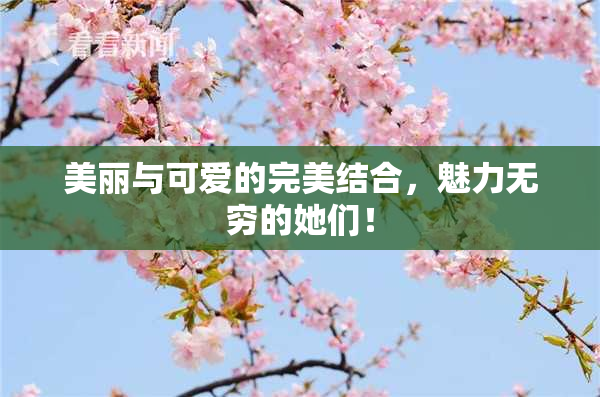 美丽与可爱的完美结合，魅力无穷的她们！