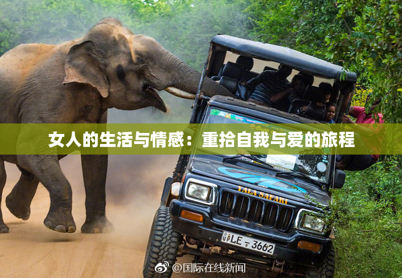 女人的生活与情感：重拾自我与爱的旅程
