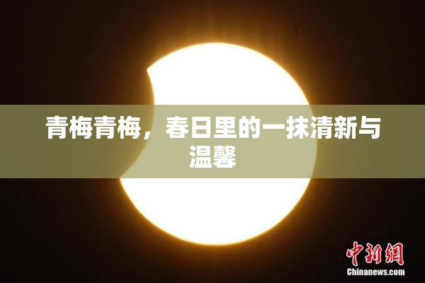 青梅青梅，春日里的一抹清新与温馨