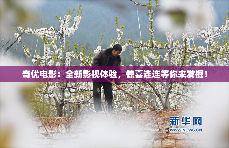 奇优电影：全新影视体验，惊喜连连等你来发掘！