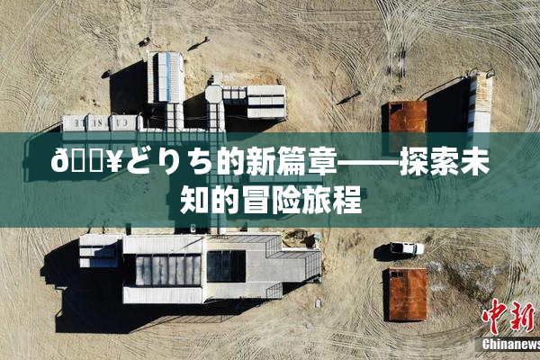 🔥どりち的新篇章——探索未知的冒险旅程