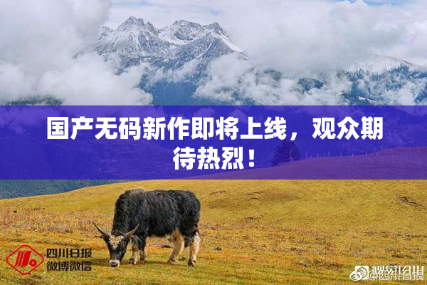 国产无码新作即将上线，观众期待热烈！