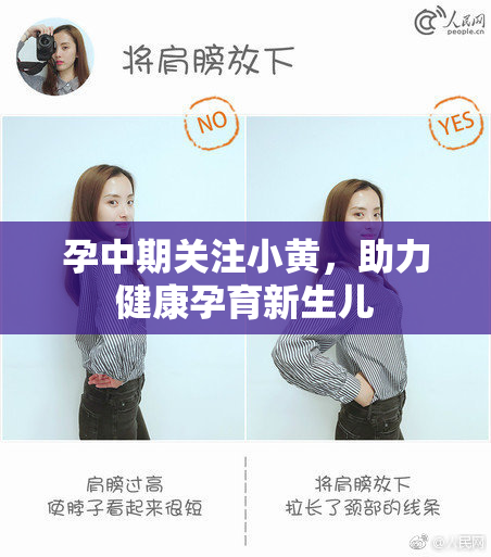 孕中期关注小黄，助力健康孕育新生儿
