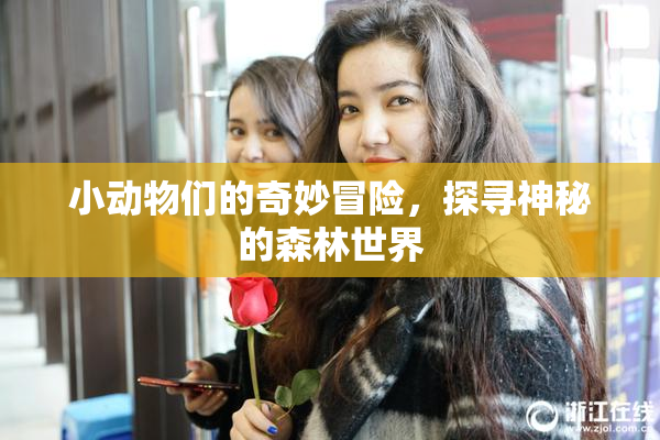 小动物们的奇妙冒险，探寻神秘的森林世界