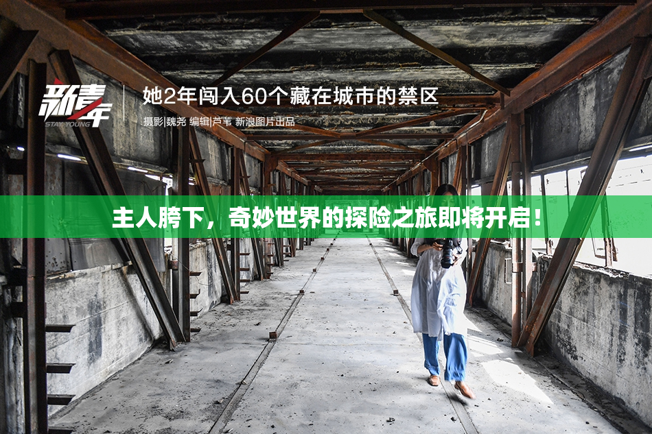 主人胯下，奇妙世界的探险之旅即将开启！