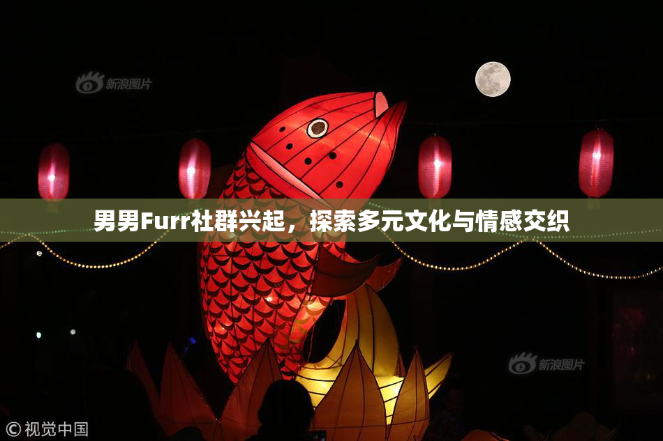 男男Furr社群兴起，探索多元文化与情感交织