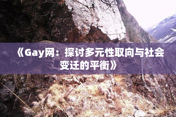 《Gay网：探讨多元性取向与社会变迁的平衡》