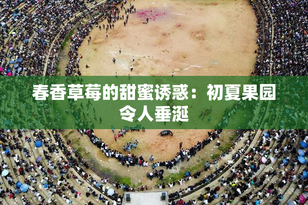 春香草莓的甜蜜诱惑：初夏果园令人垂涎