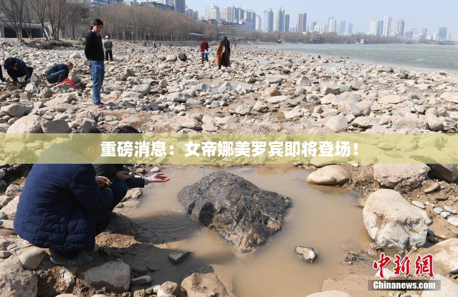 重磅消息：女帝娜美罗宾即将登场！