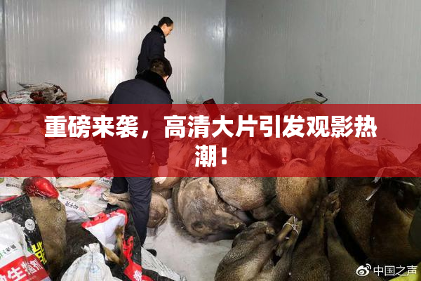 重磅来袭，高清大片引发观影热潮！