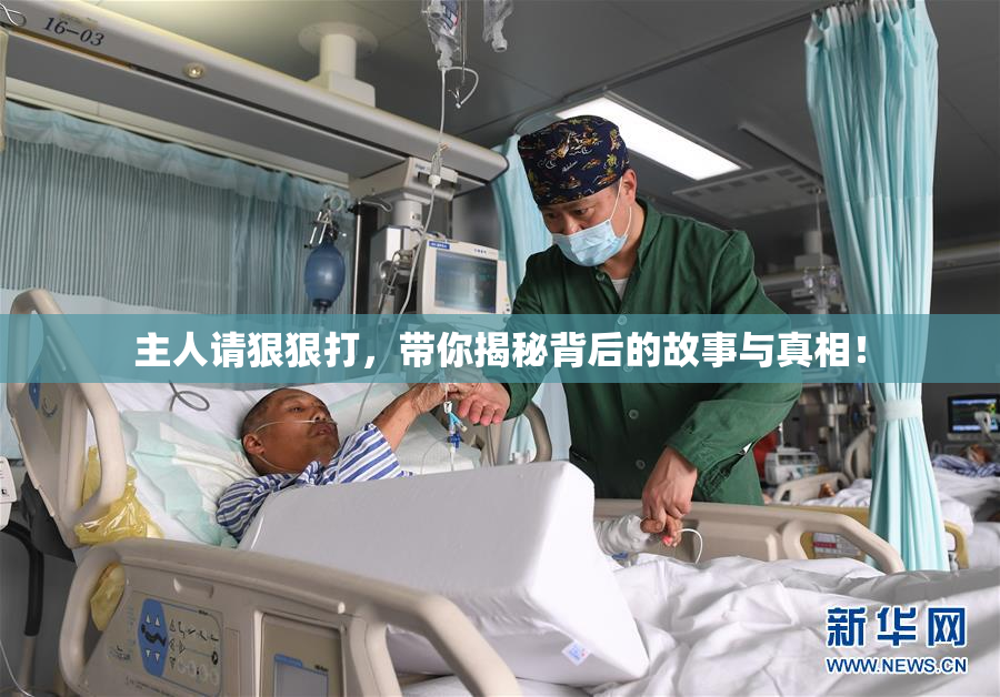 主人请狠狠打，带你揭秘背后的故事与真相！