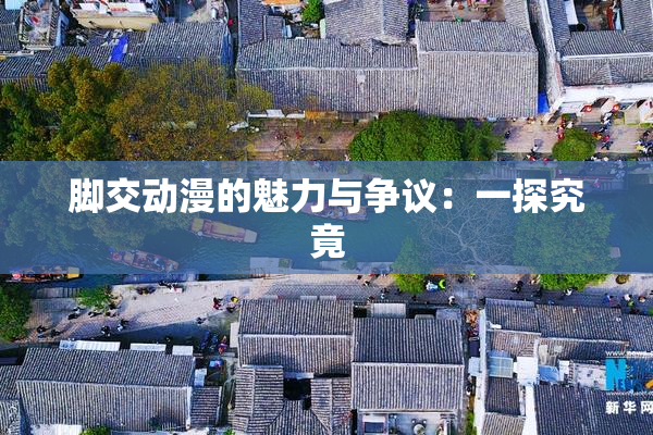 脚交动漫的魅力与争议：一探究竟