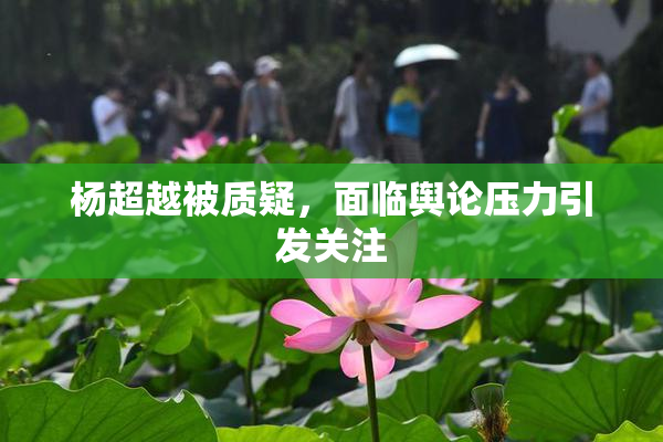 杨超越被质疑，面临舆论压力引发关注