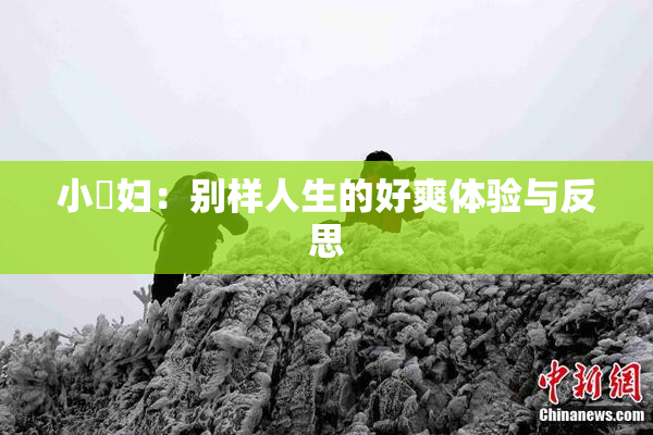 小婬妇：别样人生的好爽体验与反思