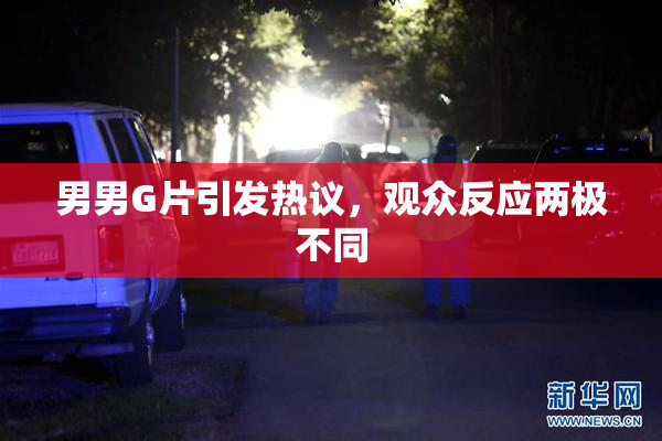 男男G片引发热议，观众反应两极不同