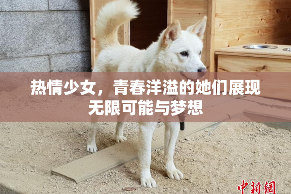 热情少女，青春洋溢的她们展现无限可能与梦想