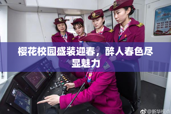 樱花校园盛装迎春，醉人春色尽显魅力