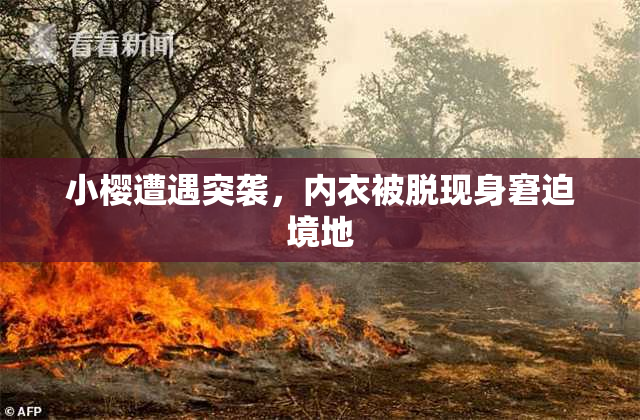 小樱遭遇突袭，内衣被脱现身窘迫境地