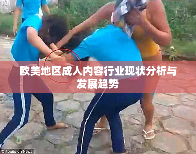 欧美地区成人内容行业现状分析与发展趋势