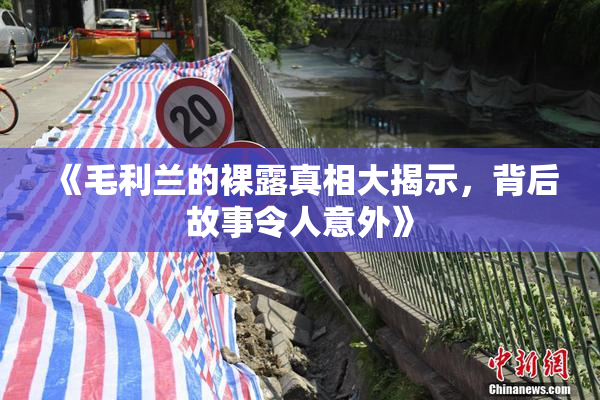 《毛利兰的裸露真相大揭示，背后故事令人意外》
