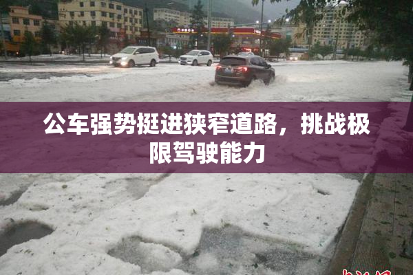 公车强势挺进狭窄道路，挑战极限驾驶能力