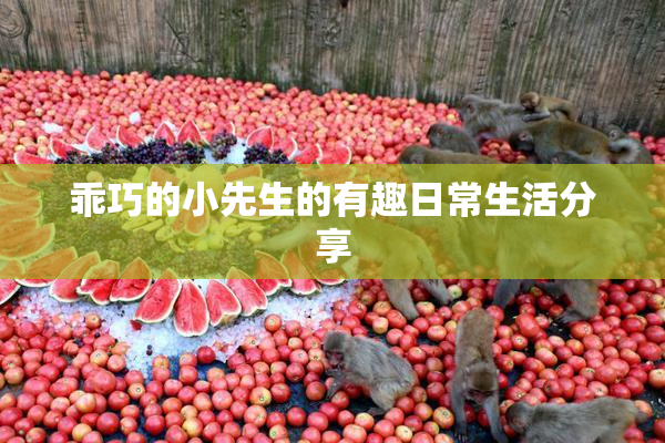 乖巧的小先生的有趣日常生活分享