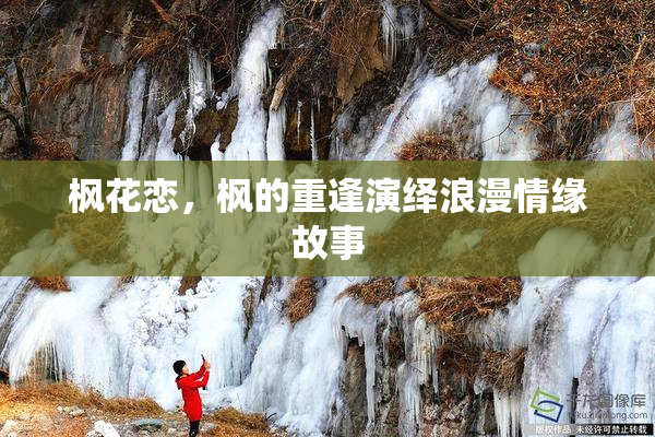 枫花恋，枫的重逢演绎浪漫情缘故事