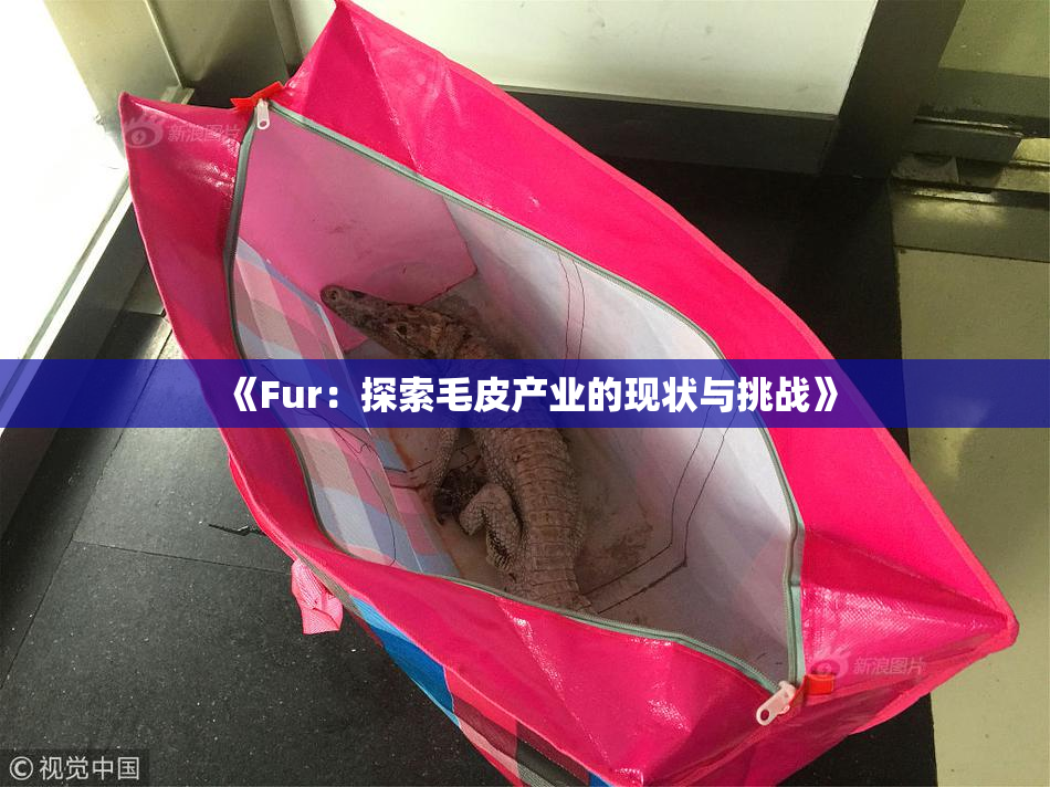 《Fur：探索毛皮产业的现状与挑战》