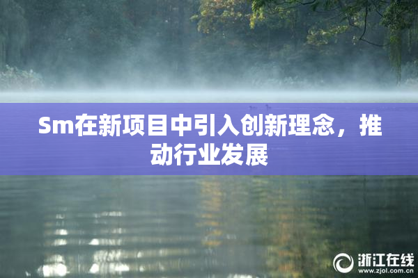 Sm在新项目中引入创新理念，推动行业发展