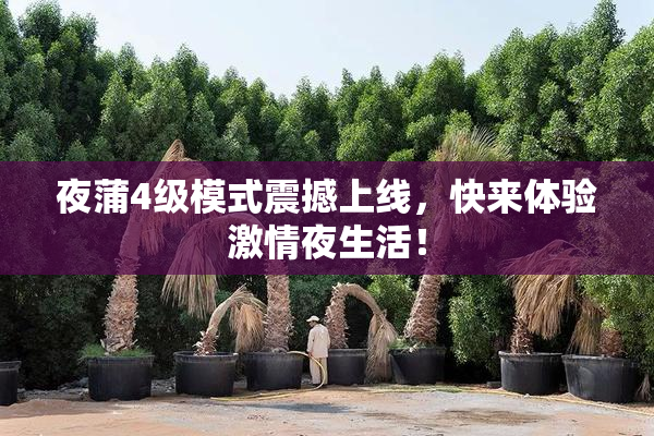 夜蒲4级模式震撼上线，快来体验激情夜生活！