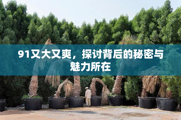 91又大又爽，探讨背后的秘密与魅力所在