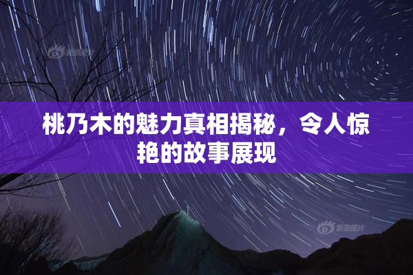 桃乃木的魅力真相揭秘，令人惊艳的故事展现