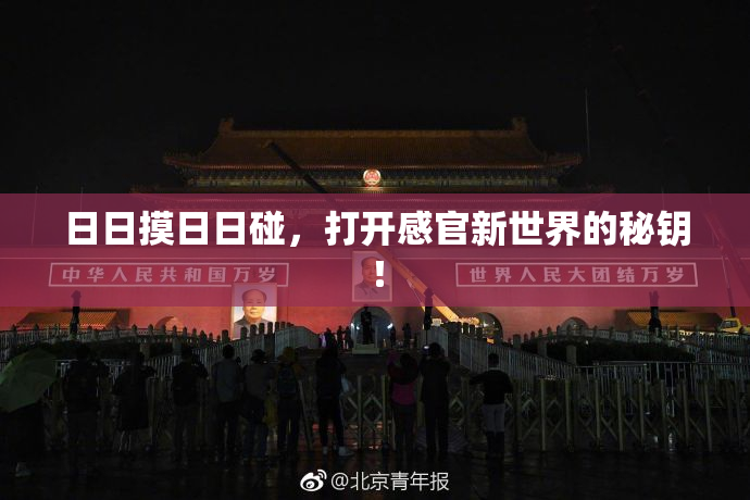 日日摸日日碰，打开感官新世界的秘钥！