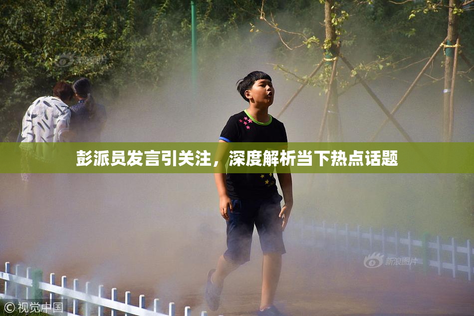 彭派员发言引关注，深度解析当下热点话题