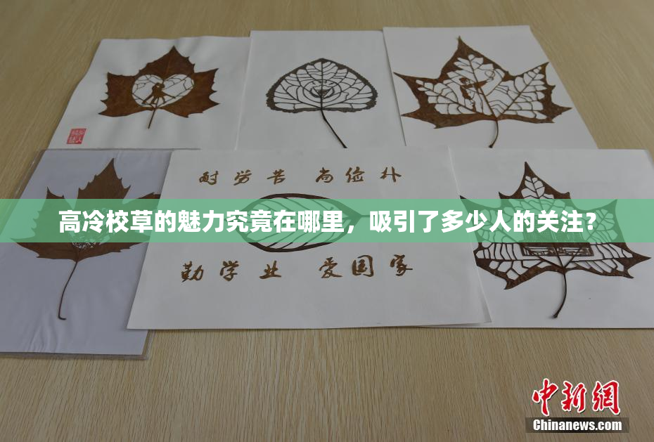 高冷校草的魅力究竟在哪里，吸引了多少人的关注？
