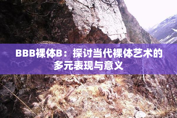 BBB裸体B：探讨当代裸体艺术的多元表现与意义