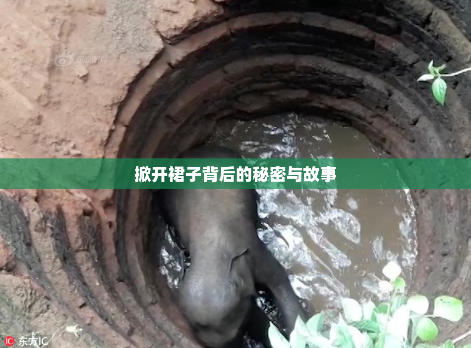 掀开裙子背后的秘密与故事
