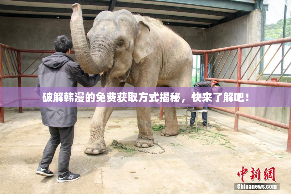 破解韩漫的免费获取方式揭秘，快来了解吧！