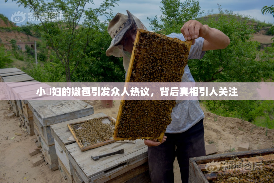 小婬妇的嫩苞引发众人热议，背后真相引人关注