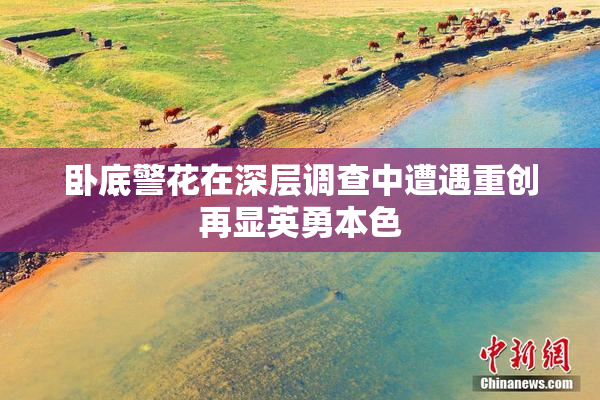 卧底警花在深层调查中遭遇重创再显英勇本色