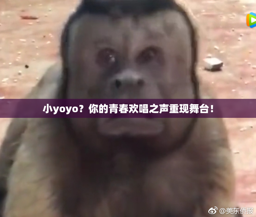 小yoyo？你的青春欢唱之声重现舞台！