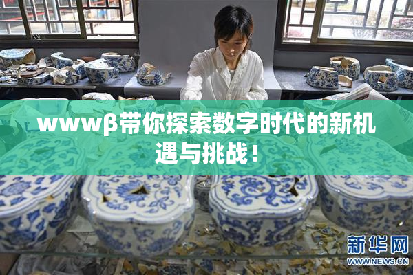wwwβ带你探索数字时代的新机遇与挑战！