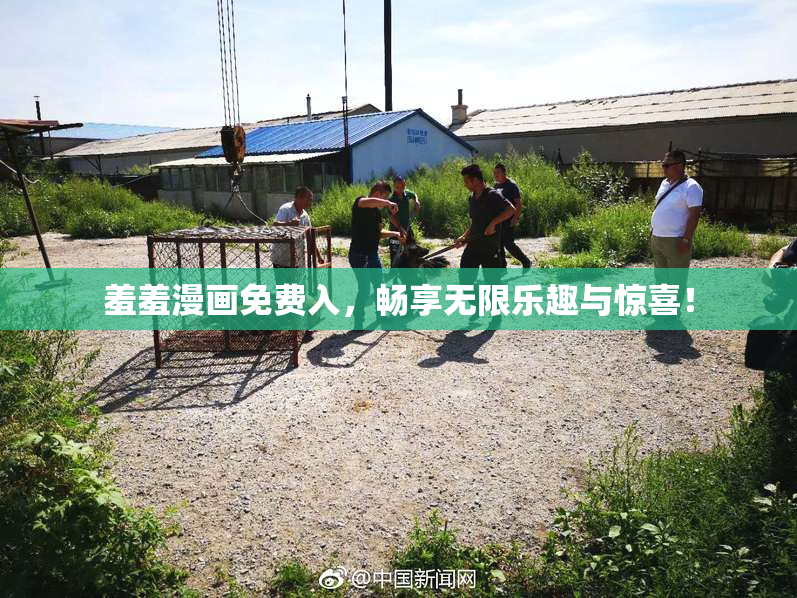 羞羞漫画免费入，畅享无限乐趣与惊喜！