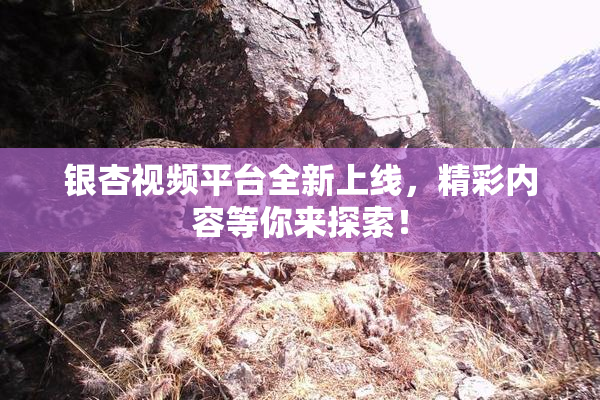 银杏视频平台全新上线，精彩内容等你来探索！