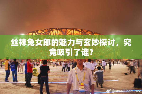 丝袜兔女郎的魅力与玄妙探讨，究竟吸引了谁？