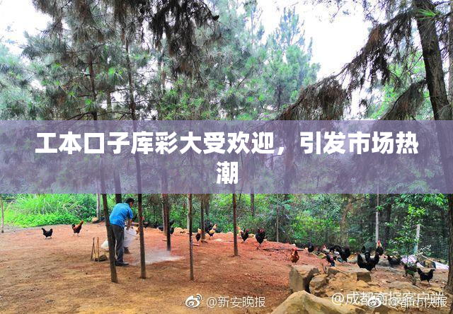 工本口子库彩大受欢迎，引发市场热潮
